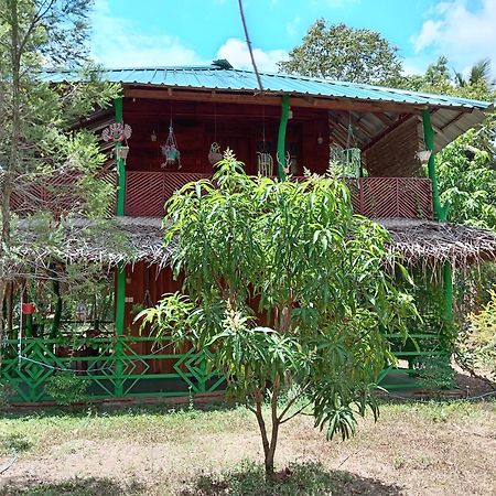 Sigiri Lion Eco Palace Sigiriya Bagian luar foto