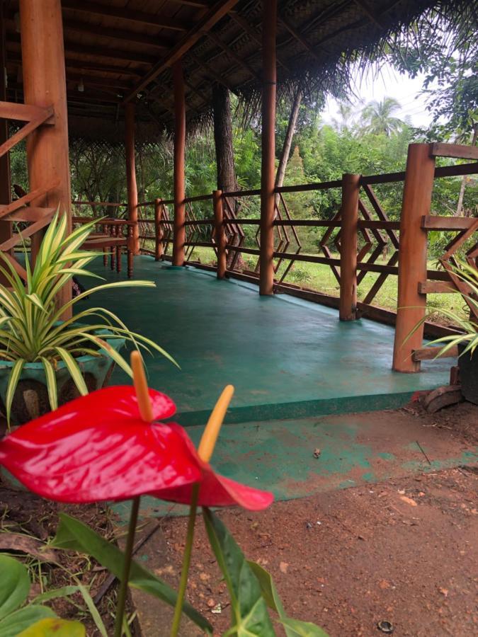 Sigiri Lion Eco Palace Sigiriya Bagian luar foto