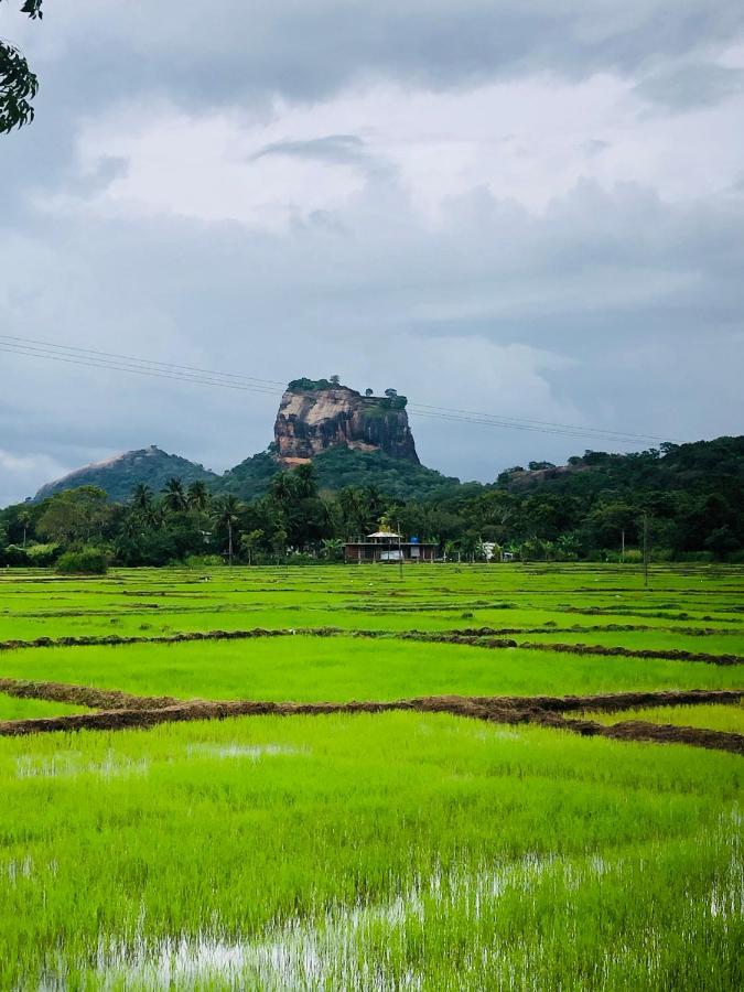 Sigiri Lion Eco Palace Sigiriya Bagian luar foto