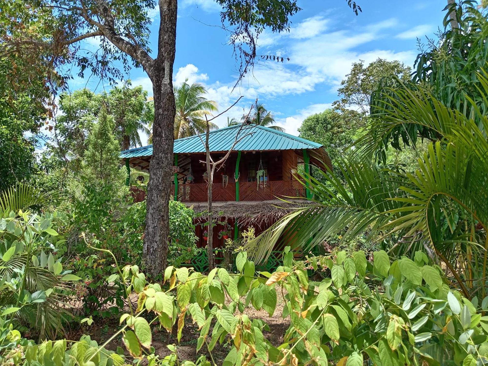 Sigiri Lion Eco Palace Sigiriya Bagian luar foto