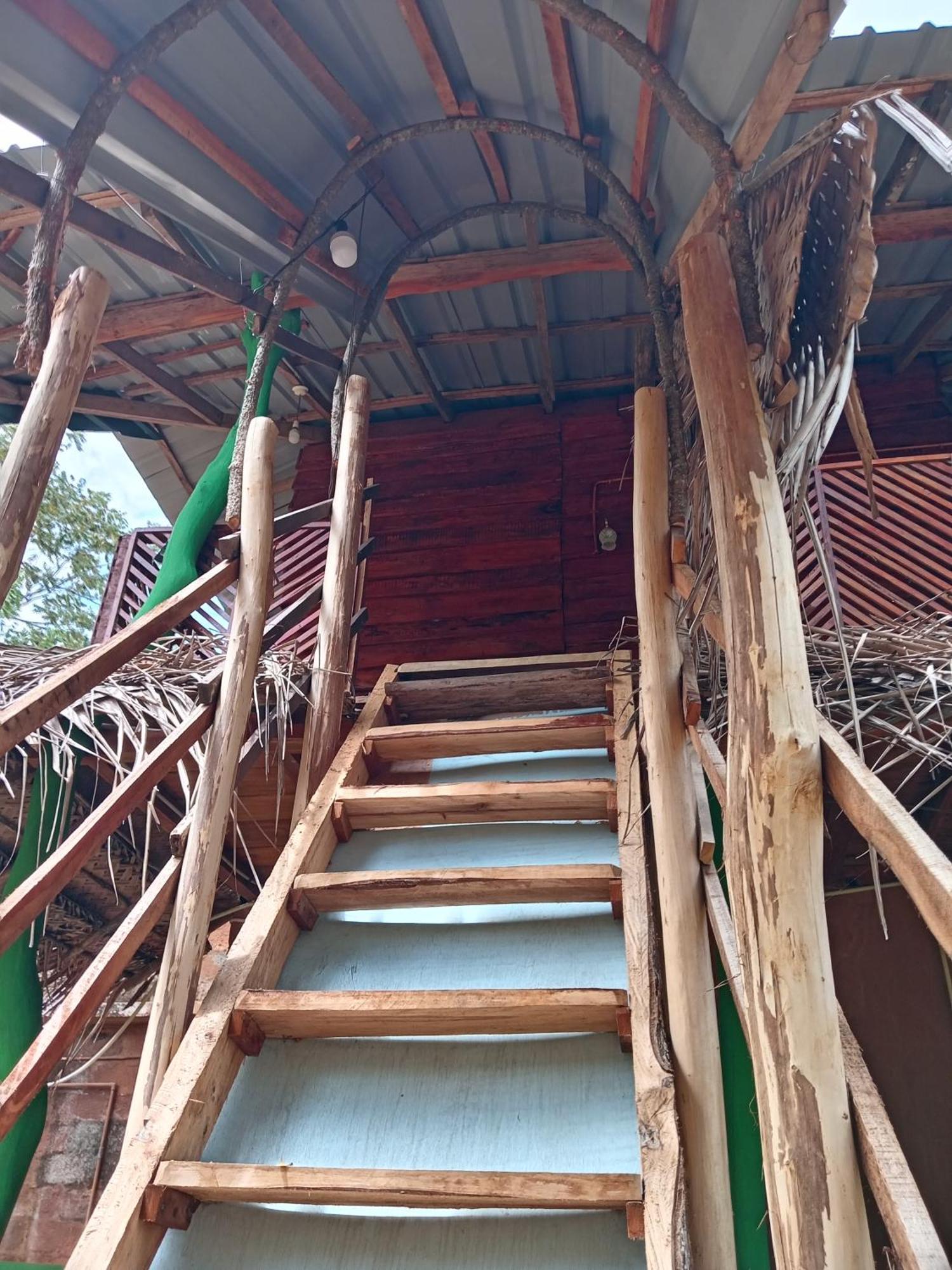 Sigiri Lion Eco Palace Sigiriya Bagian luar foto